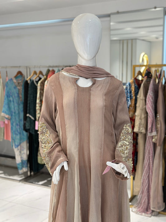 Zari Chiffon 3 Piece Suit